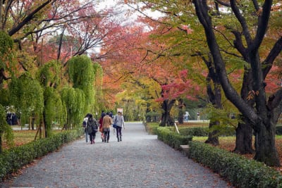 Kyoto Imperial Palace & Nijo Castle Small Group Guided Walking Tour - 3 Hour