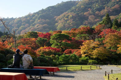Kyoto’s Arashiyama Bamboo Grove, Togetsukyo bridge, Okochi Sanso, Tenryuji and more - 3 hours