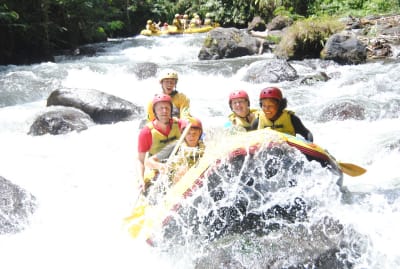 Bali Rafting Adventure & Ubud Monkey Forest Visit with Lunch