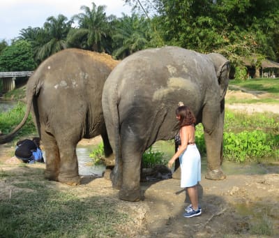 Krabi: Elephant Sanctuary and Emerald Pool Adventure