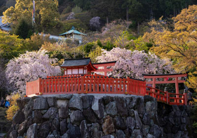Minoh Katsuoji Temple Walking Tour with Local Guide (4 Hours)
