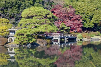 Shinjuku Gyoen National Garden – 2 Hours Walking Tour