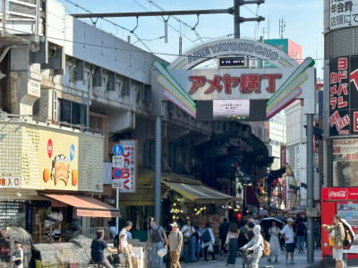 Tokyo Ueno Park, National Museum & Ameyoko Street Food Market Walking Tour – Half day