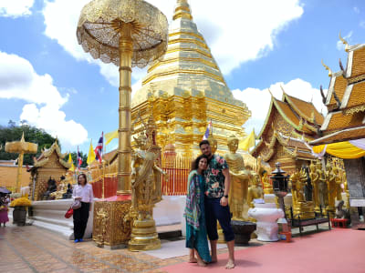 Chiang Mai Ethical Elephant Experience & Doi Suthep Tour - Full Day