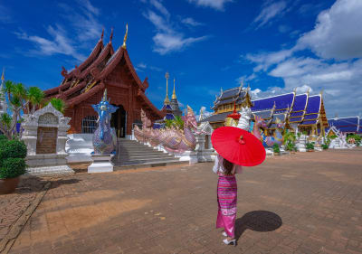 Chiang Mai Elephant Sanctuary and Sticky Waterfall Tour – Full Day