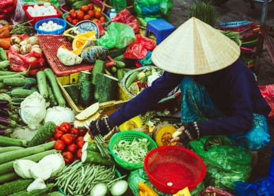Hoi An Market, Cooking Class & Basket Boat Eco Tour – Half Day