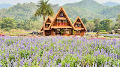 Khao Yai Day Trip from Bangkok: White Buddha, Emerald Spring & Hokkaido Flower Park