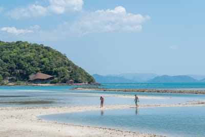 Koh Samui Island Hopping & Relaxing Tour: Coral and Pig Island – Full Day