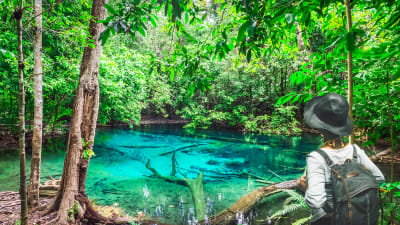 Tiger Cave Temple, Emerald Pool & Hot Springs Tour from Krabi – Full Day