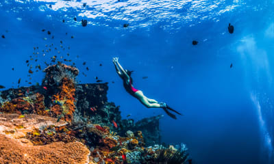 Amed Bali Snorkelling: Japanese Shipwreck & Vienna Beach Tour
