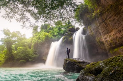 Customize Your Own Khao Yai National Park Tour from Bangkok – Full Day