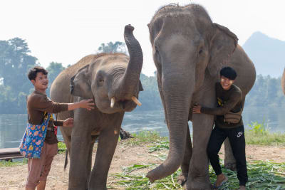 Elephant Sanctuary & Erawan Waterfall Tour from Bangkok – Full Day