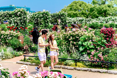 Yokohama Chinatown, Temples & Bayside Red Brick Warehouse Walking Tour