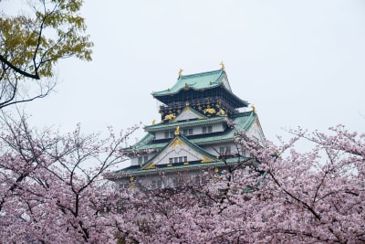 Osaka Castle 3 hours Historical Walking Tour
