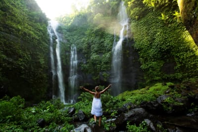 Sekumpul Waterfall & Temple Tour: Ulun Danu Bratan,Taman Ayun Temple and More – Full Day