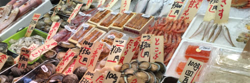 Tsukiji & Toyosu Fish Market