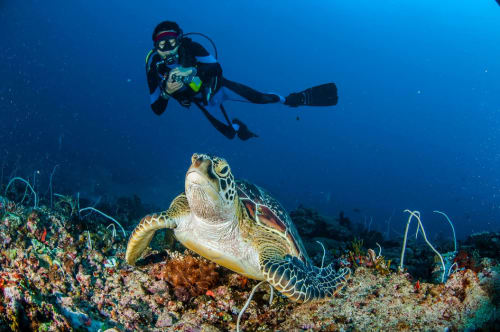 Gili Islands