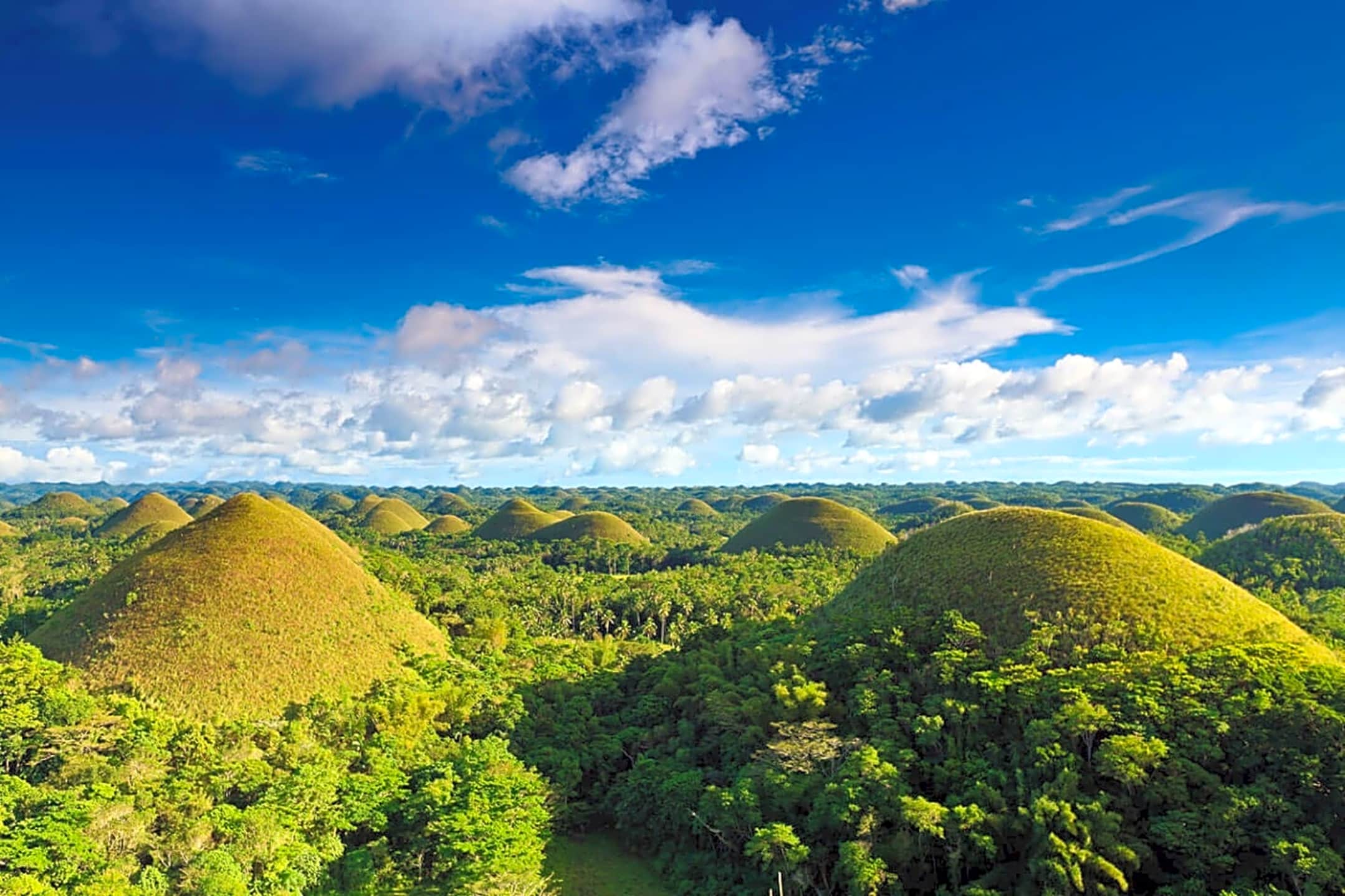 Discover Bohol Chocolate Hills in Cebu and Bohol Trip Guru