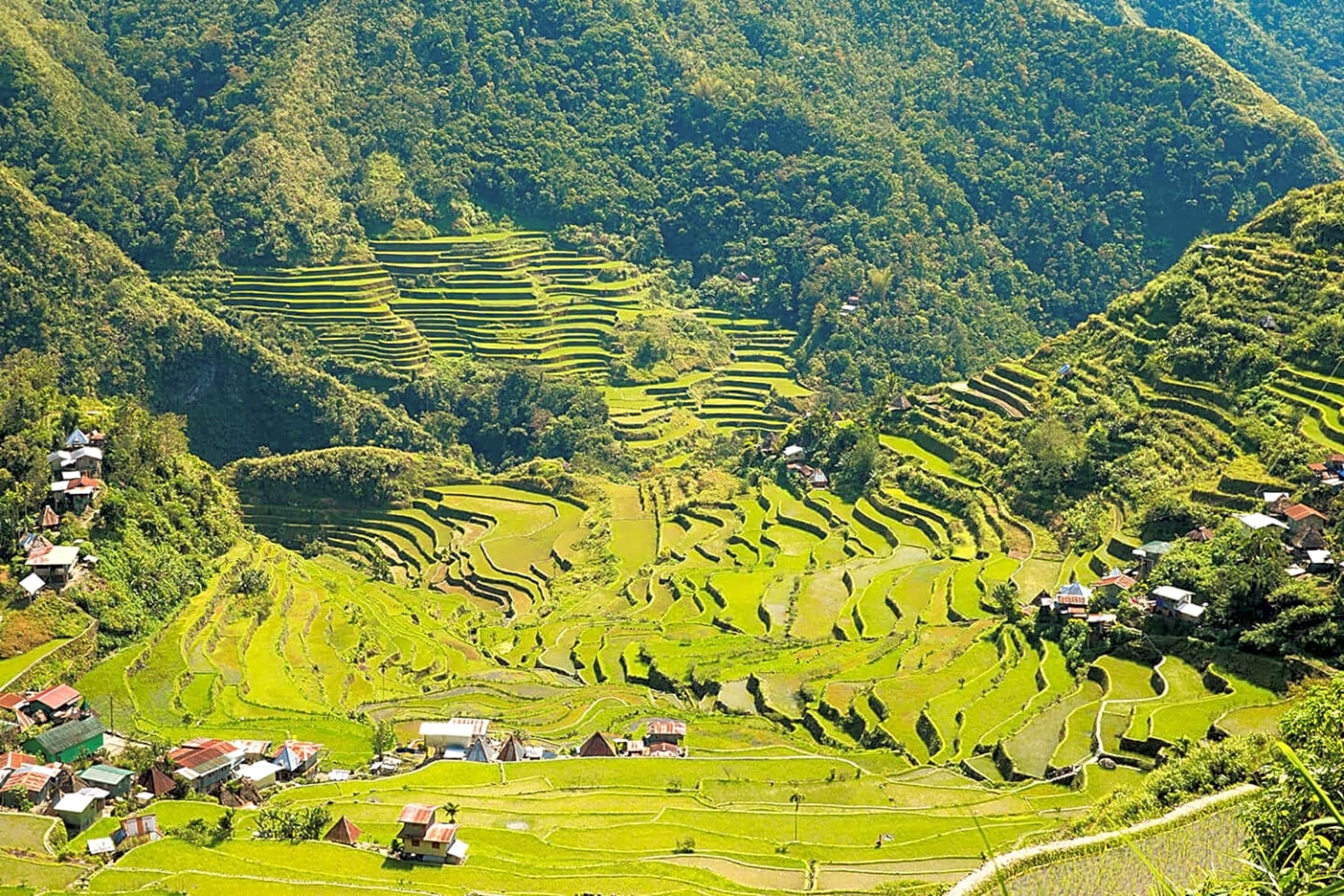 banaue rice terraces travel brochure