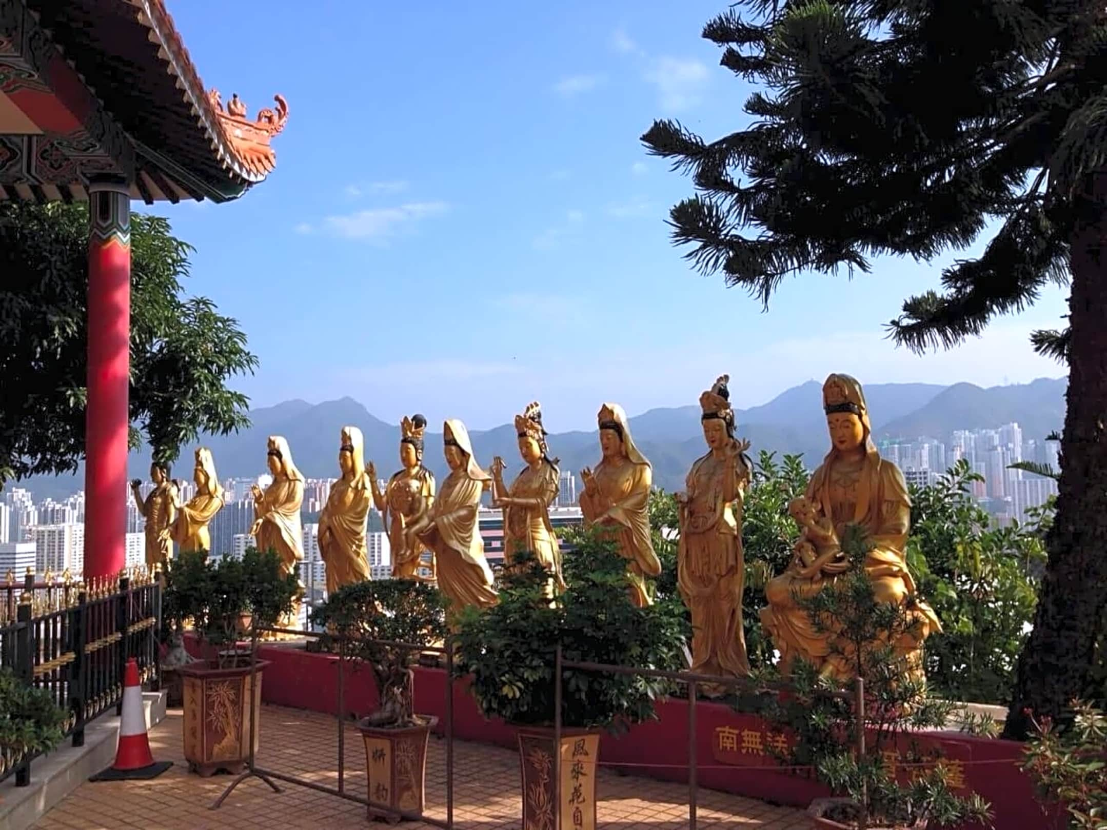 Discover Ten Thousand Buddhas Monastery in Hong Kong Trip Guru