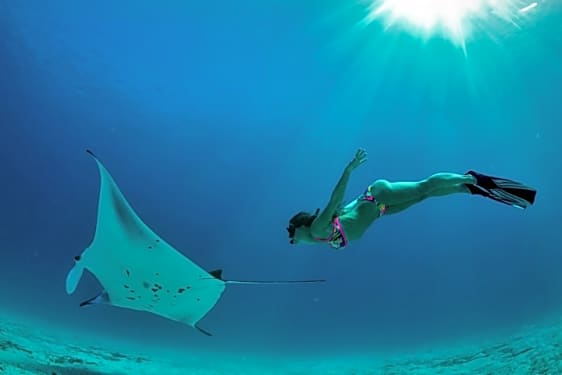 Nusa Lembongan Nusa Ceningan Nusa Penida Best Snorkeling Tour Full Day Book Now Tripguru 3 spot snorkeling + island tour. nusa lembongan nusa ceningan nusa penida best snorkeling tour full day