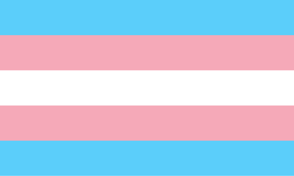 Transgender flag. Transgender flag.