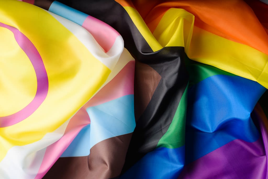 Guide to Pride flags and their meanings: A comprehensive understanding of LGBTQIA+ symbols.