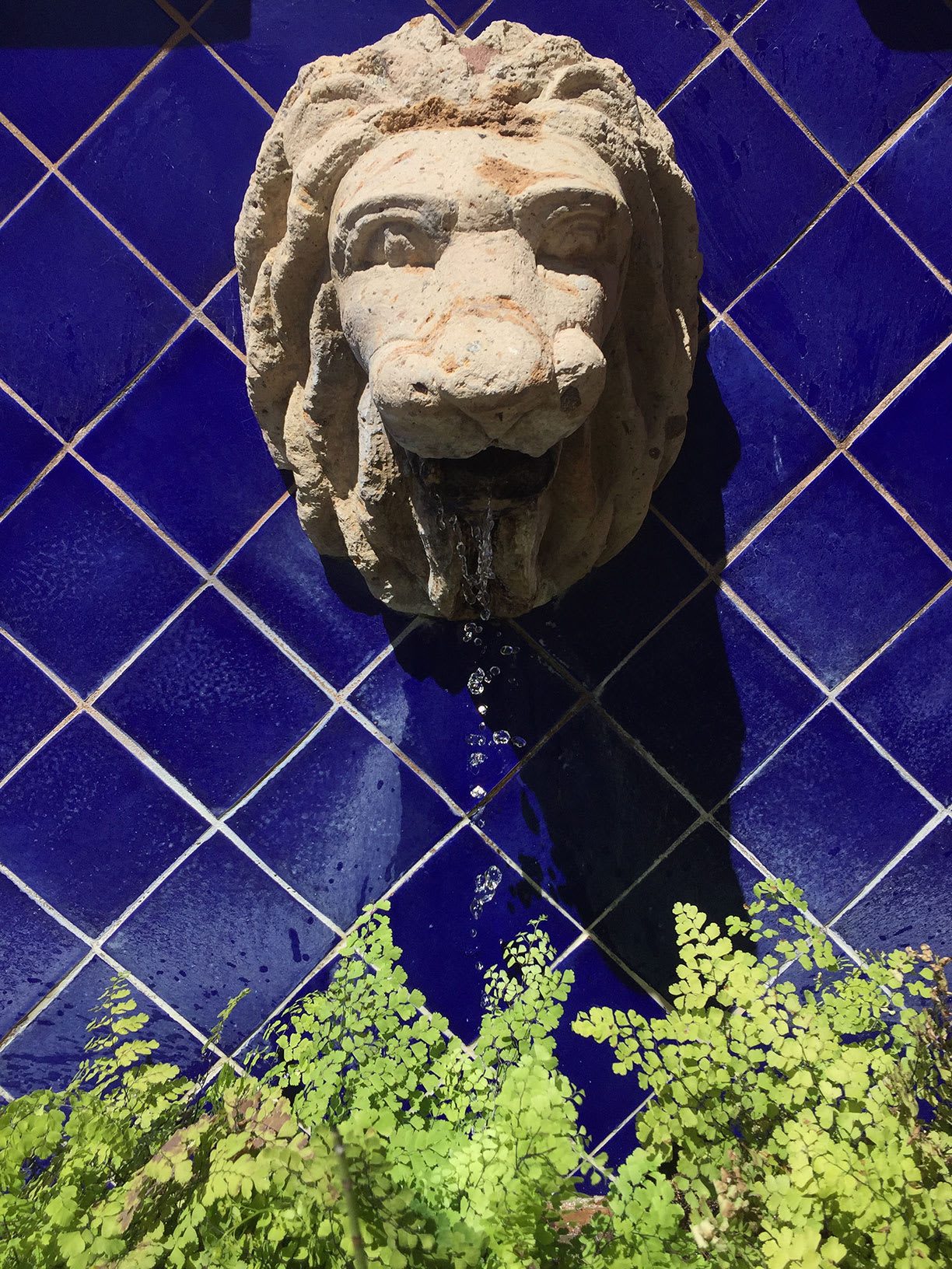 Fountain