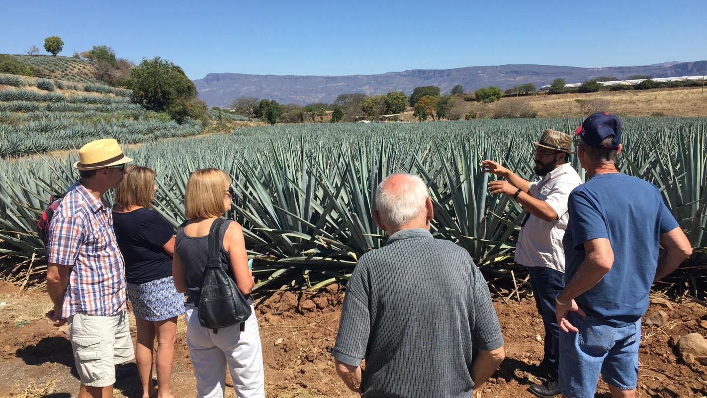 tequila tours from ajijic