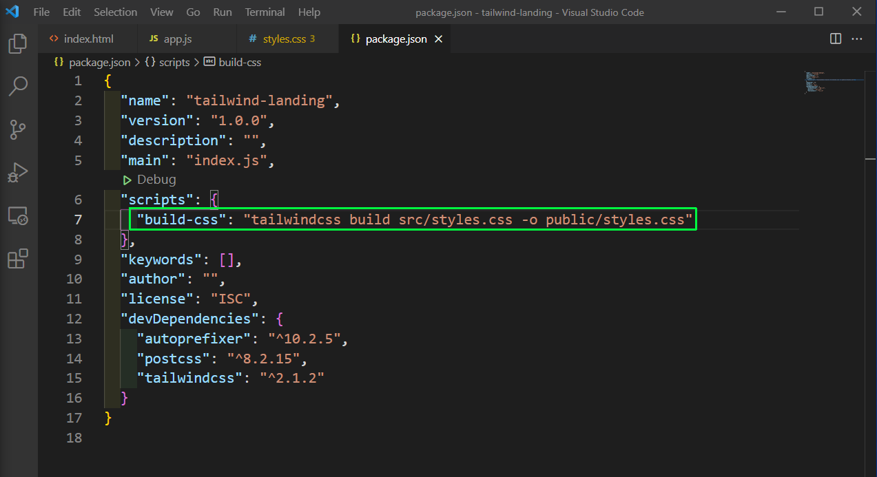 package.json