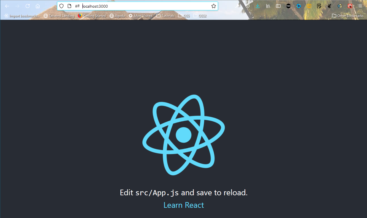 npm start