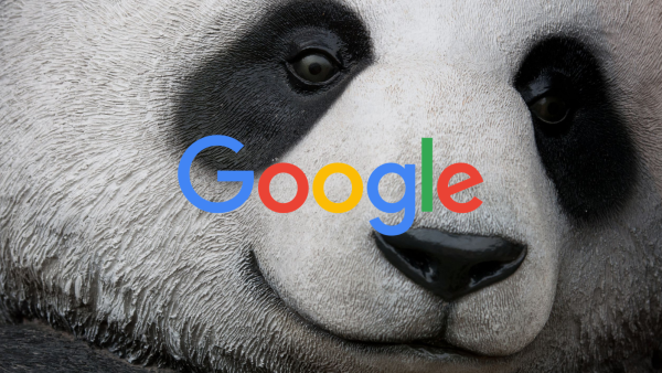 latest google algorithm updates march