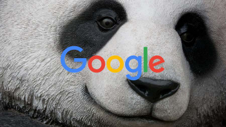Panda Update Delayed