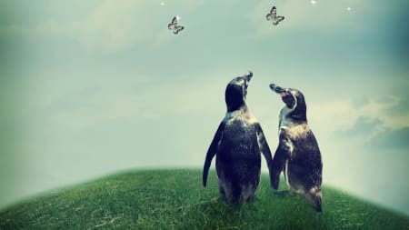 Algorithm Update, Penguin still not announced.