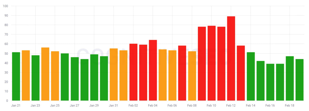 CognitiveSEO SIGNALS, 18th of February, 2020.