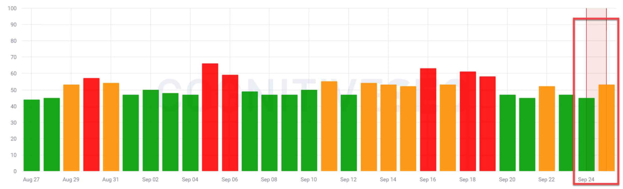 CognitiveSEO SIGNALS 24th of September 2019.