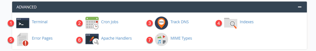 cPanel Advanced Panel
