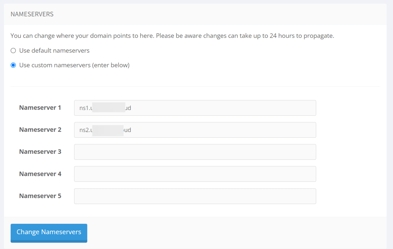 TMD Hosting Client area domains nameservers.