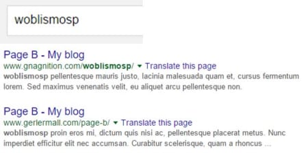 Keyword in URL test 2