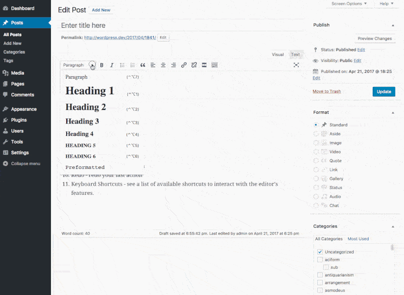 WordPress WYSIWYG