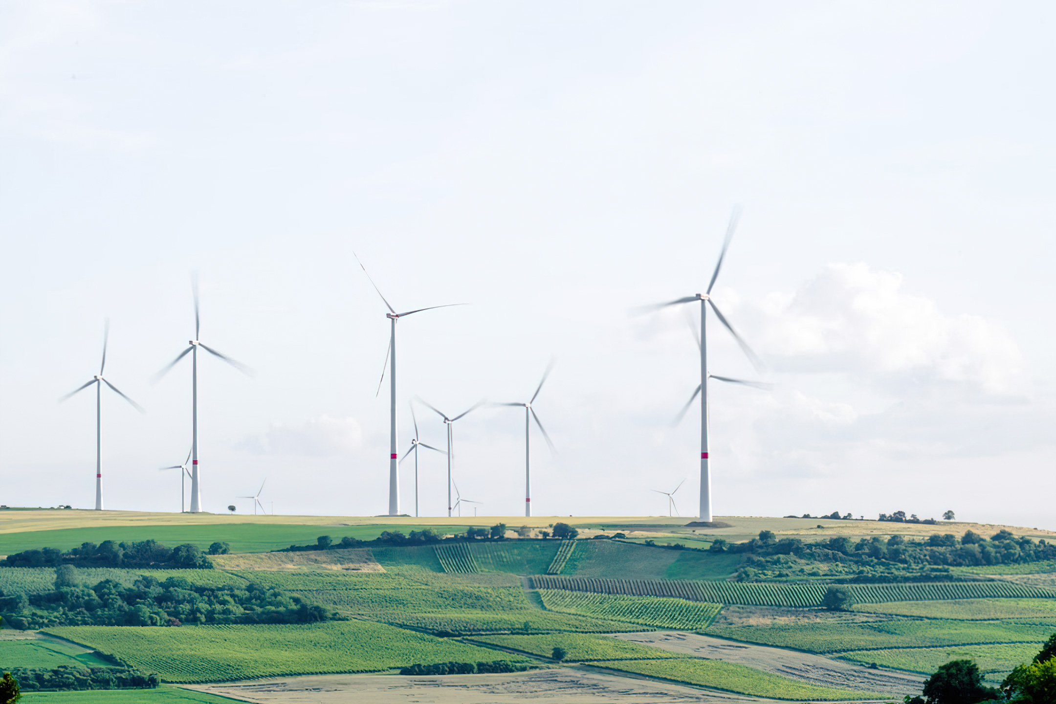 Landscape of Wind Turbines