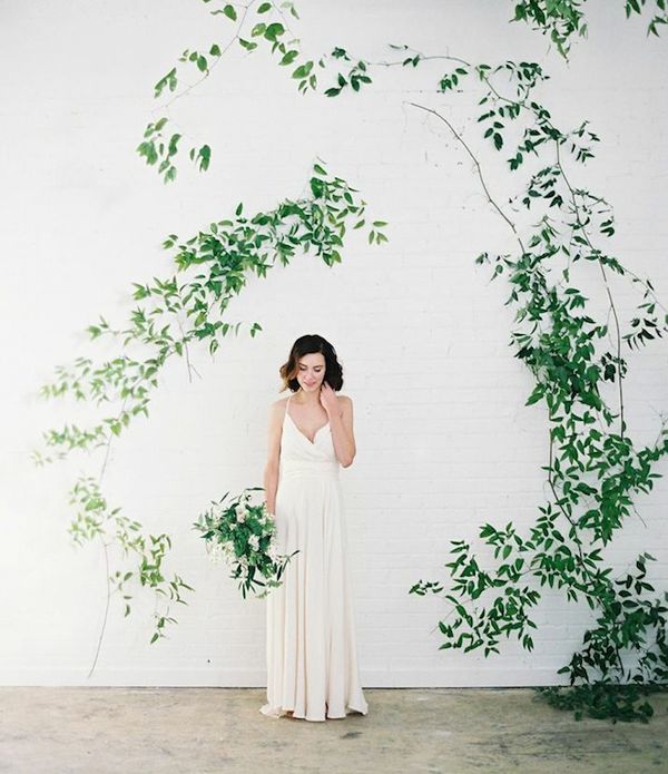 Organic: Backdrop đơn giản với lá xanh