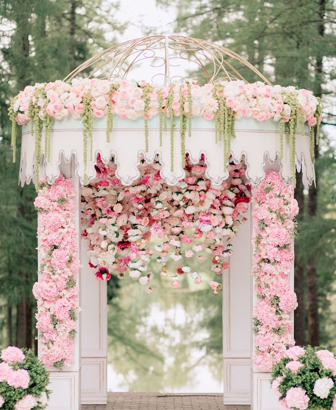Backdrop màu hồng khói