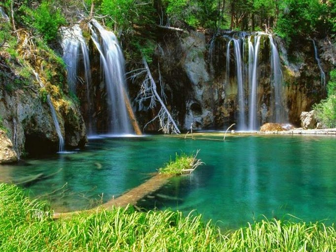 Khu Du Lịch Suối Mơ