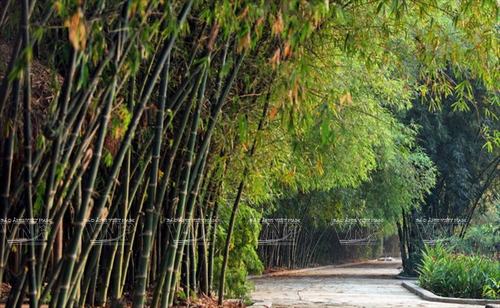 Làng Nghề Truyền Thống