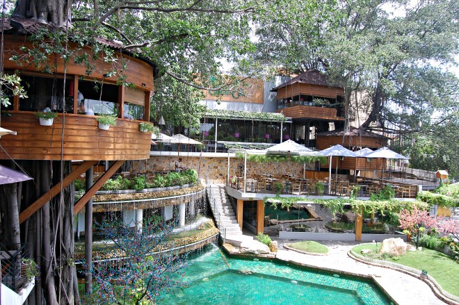 Café Du Mien Garden