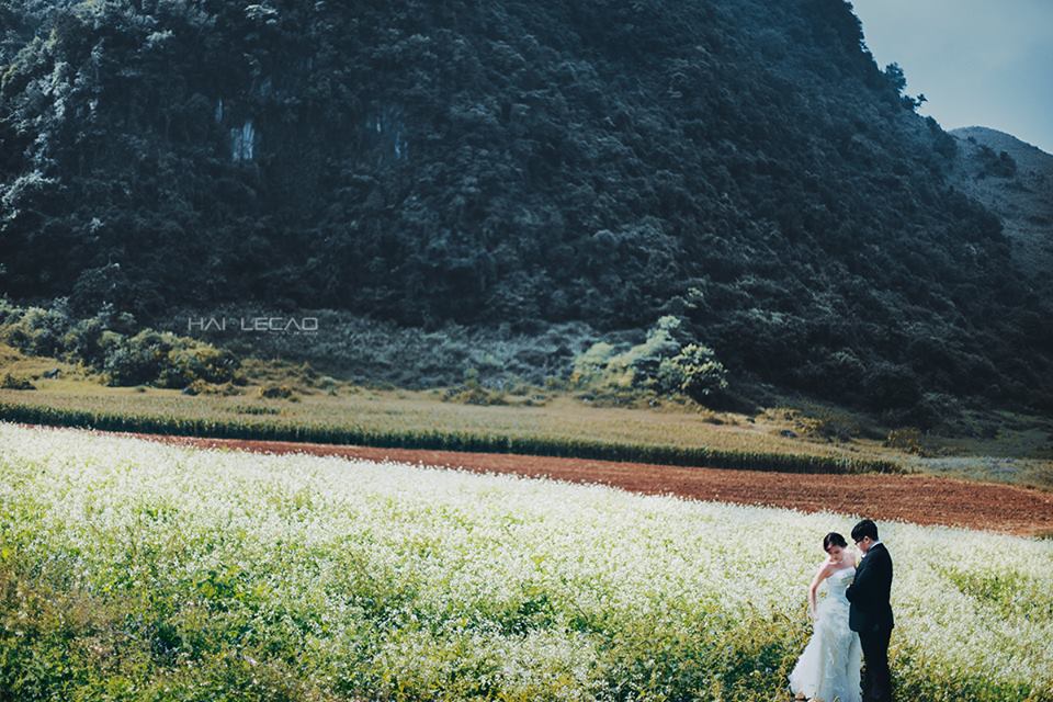 Cao nguyên Mộc Châu, Sơn La
