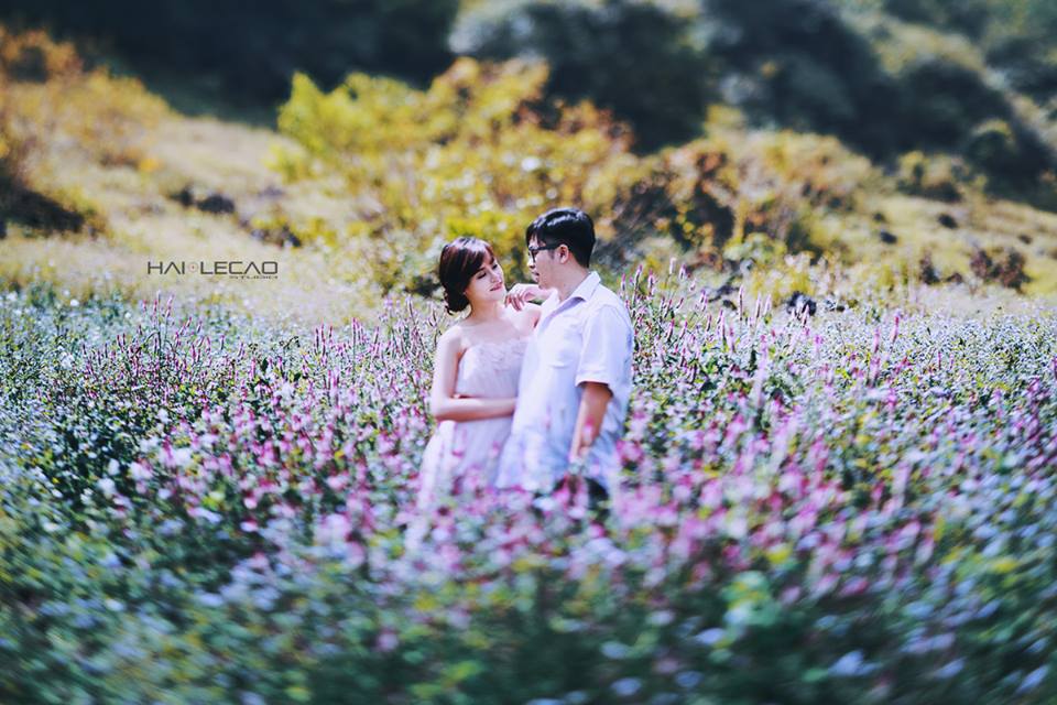Cao nguyên Mộc Châu, Sơn La