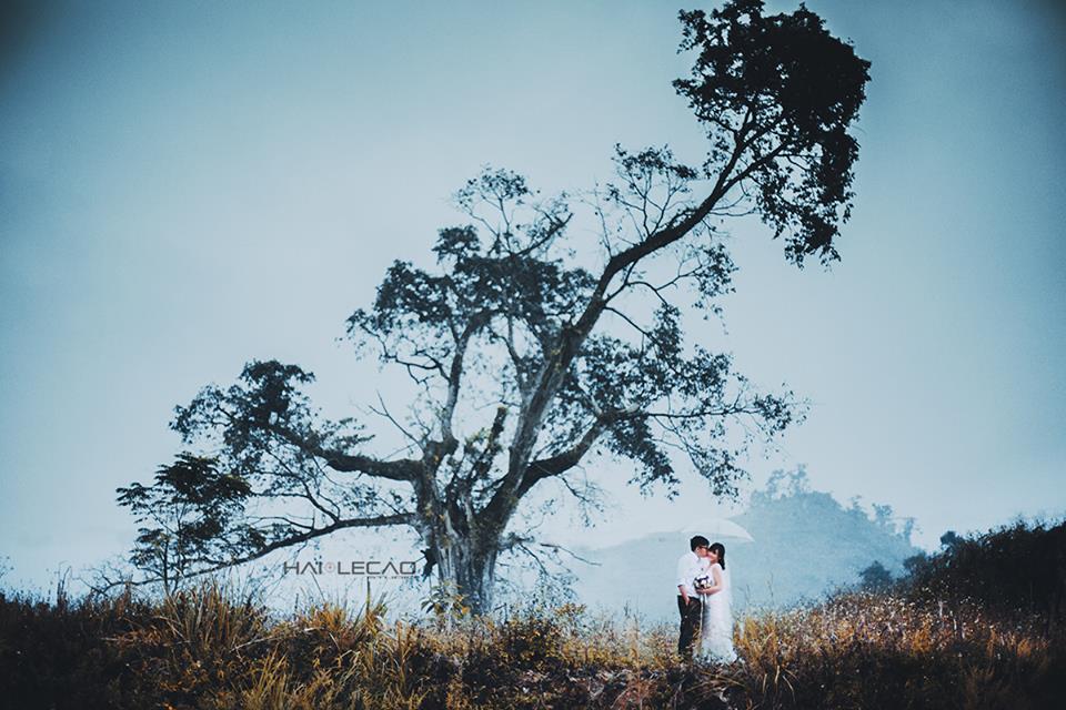 Cao nguyên Mộc Châu, Sơn La
