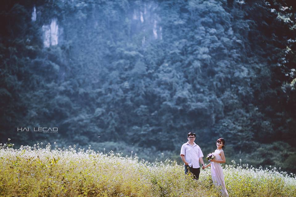 Cao nguyên Mộc Châu, Sơn La